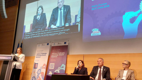Անահիտ Ավանեսյանը հոգեկան առողջության մարտահրավերների լուծման թեմայով պանելային քննարկմանը ներկայացրել է Հայաստանի հաջողված փորձը