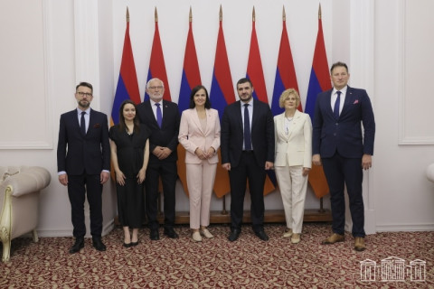 Delegation led by Head of Poland-Armenia Friendship Group hosted in NA Committee on European Integration
