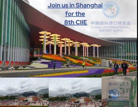 Ermənistan Şanxayda keçiriləcək China Import Expo sərgisində birgə pavilyonla iştirak edəcək
