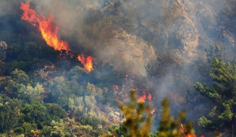455 families evacuated due to forest fire in Izmir, Turkey
