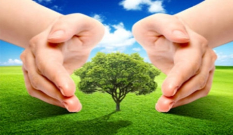 PM holds budget discussion over Environmental Ministry programs | LIVE