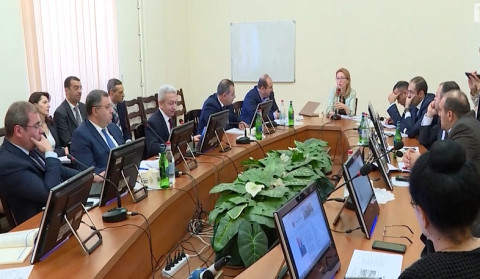 Executive budged discussed in National Assembly Economic Committee