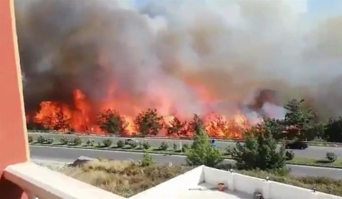 Turkiye’s Izmir, Hatay and Syria’s Latakia regions affected by wildfires
