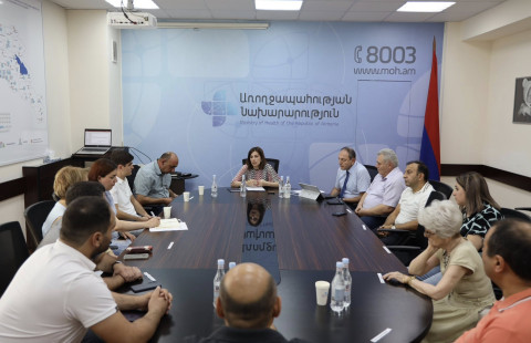 Չափազանց կարևոր է նոր ստանդարտներին համապատասխան վերակենդանացման և ինտենսիվ թերապիայի ծառայության հստակ մակարդակներ ունենալը. Ավանեսյան