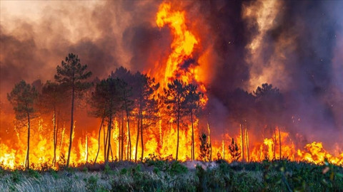 France battles largest wildfire in decades, one person killed