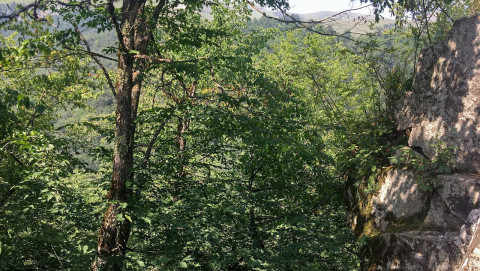 Կողբ գյուղի «Զիկատար» կոչվող տարածքում քաղաքացին ընկել է ձորը. օգնության են հասել փրկարարները