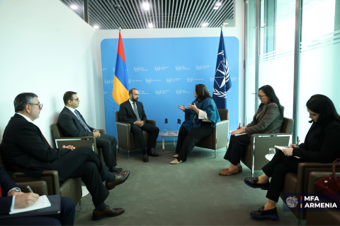 Mirzoyan and Director of Trust Fund for Victims of the International Criminal Court discussed cooperation issues