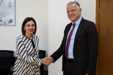 Անահիտ Ավանեսյանը և ԵՄ դեսպանը քննարկել են առողջապահության ոլորտում իրականացվող բարեփոխումները