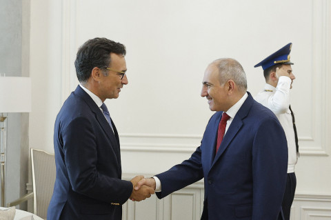 Prime Minister receives President of NATO Parliamentary Assembly