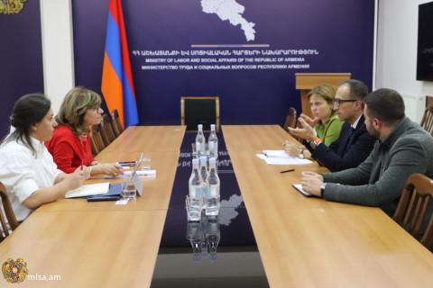 Արսեն Թորոսյանը և Սալփի Ակարագյանը քննարկել են Հայաստանում կոխլեար իմպլանտ կրող անձանց խոսակցական պրոցեսորների փոխարինման գործընթացը