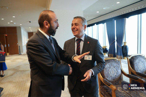 Արարատ Միրզոյանը և Իգնասիո Կասիսն անդրադարձել են հումանիտար բնույթի հարցերի