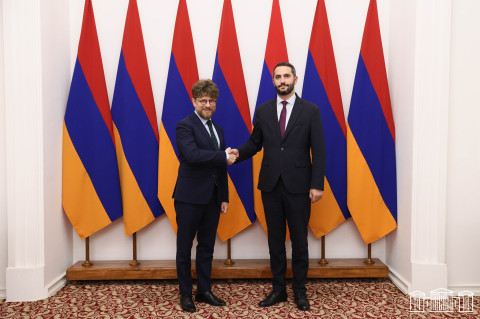 Parliament Deputy Speaker and French Ambassador discuss regional developments