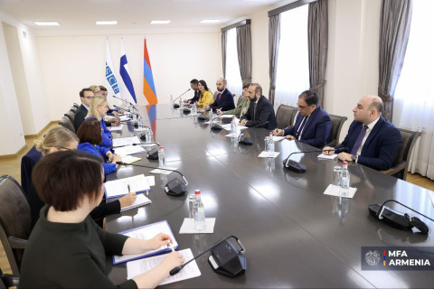 Mirzoyan, Valtonen hold meeting in enlarged format