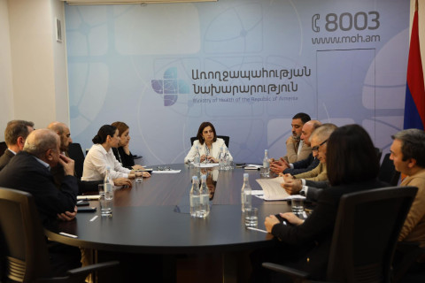 Ինձ համար շատ մտահոգիչ են պլաստիկ վիրաբուժության ոլորտում վերջերս հաճախակիացած անհաջող ելքերով դեպքերը. Անահիտ Ավանեսյան
