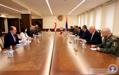 Պապիկյանն ու Վրաստանի իր գործընկերը քննարկել են տարածաշրջանային անվտանգությանն առնչվող հարցեր