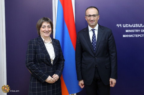 Արսեն Թորոսյանը և Նաթիա Նացվլիշվիլին քննարկել են զբաղվածության խթանման, սոցիալական ներառման և գենդերային հավասարության ապահովման հարցեր