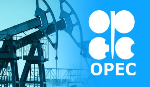 Альянс ОПЕК+ принял решение остановить рост добычи нефти в первом квартале 2026 года