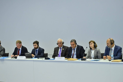 Հայաստանի տեսլականն է COP17-ը դարձնել իսկապես ներառական, մասնակցային և գործողություններին միտված համաժողով. ՀՀ ԱԳ փոխնախարար