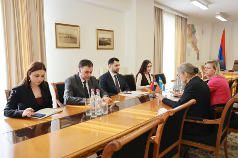 ՇՄ նախարարը և Շվեդիայի դեսպանը քննարկել են ջրային ոլորտի արդյունավետ կառավարման հարցեր