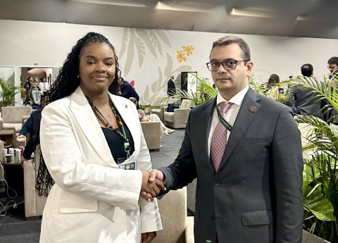 Meeting of Deputy Foreign Minister of Armenia Robert Abisoghomonyan with Vice-Minister of Foreign Affairs of the Democratic Republic of Congo Noëlla Ayeganagato Nakwipone