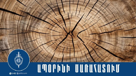 Սյունիքի մարզի պարեկները ապօրինի ծառահատման դեպք են բացահայտել