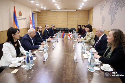 Interconnection between our countries is needed more than ever today: Mirzoyan in Georgia