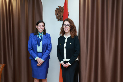 Chairman of Tourism Committee and Ambassador of Uruguay to Armenia discussed need for direct flights between two countries