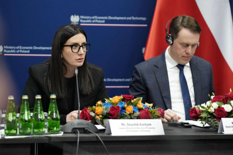 Անուշիկ Ավետյանը միջկառավարական համատեղ հանձնաժողովի նիստին անդրադարձել է Հայաստանի և Լեհաստանի միջև համագործակցության հեռանկարներին