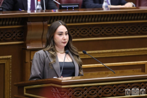 Կստեղծվեն իրավական մեխանիզմներ, որոնք կապահովեն կենդանիների բարեկեցությունն ու պաշտպանվածությունը. նախագիծ