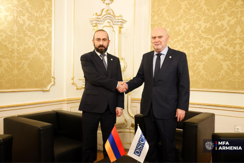Միրզոյանն ու ԵԱՀԿ գլխավոր քարտուղարը քննարկել են կազմակերպության գործունեության հարցեր