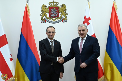 Միխեիլ Սարջվելաձեն Արսեն Թորոսյանին առաջարկել է դիտարկել աշխատանքի և սոցիալական պաշտպանության ոլորտում ՀՀ-Վրաստան համատեղ առաջին համաժողովի կազմակերպման հնարավորությունը