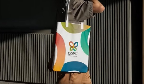 COP17 logo for Armenia is Yerevan Blue Butterfly