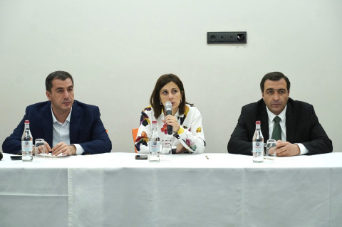 Առողջության համընդհանուր ապահովագրության ներդրմանն ընդառաջ Անահիտ Ավանեսյանը շարունակում է հանդիպումները