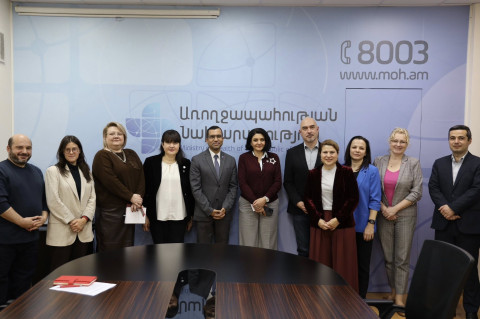 Լենա Նանուշյանը ԱՀԿ փորձագիտական խմբի հետ քննարկել է ՄԻԱՎ-ի թեստավորման, բուժման և վերահսկման խնդիրները