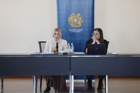 Քննարկվել են «Արհեստական բանականությունը՝ ուսուցչի օգնական գործիք» բազային դասընթացի ծրագրին վերաբերող հարցեր