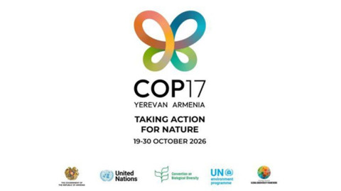 COP17-ին ընդառաջ միջոցառումների կազմակերպում միջազգային հարթակներում. ԱԳՆ-ն ամփոփել է տարին