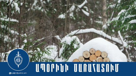 Արագածոտնի մարզի պարեկները ապօրինի ծառահատման դեպք են բացահայտել