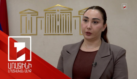 Կենդանասերները խնդիրներ են տեսնում կենդանիների մասին օրինագծում. պատգամավորը հակադարձում է