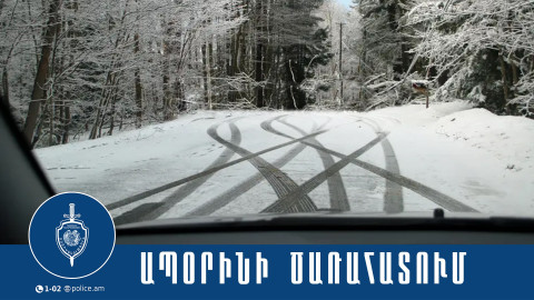 Համայնքային ոստիկանները ապօրինի ծառահատման դեպք են բացահայտել