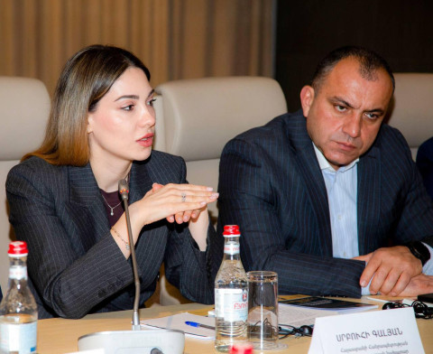 ՍԴ իրավական դիրքորոշումների կատարումը սահմանադրական պարտավորություն է. Գալյան