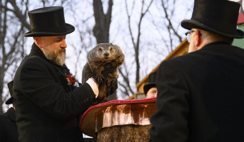 Groundhog Phil predicted a long winter