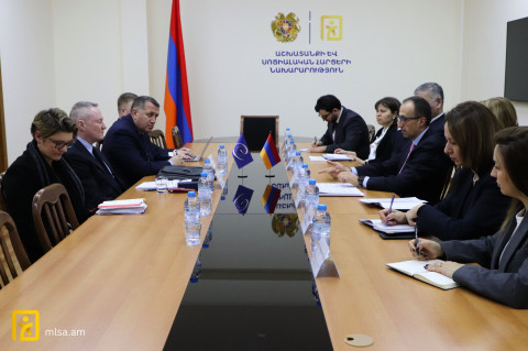 ԱՍՀ նախարարն ու ԵԽ հանձնակատարը քննարկել են աշխատանքի և սոցիալական պաշտպանության ոլորտում հիմնական ուղղությունները