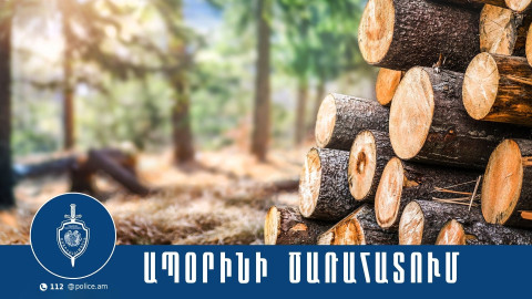 Անտառապետը ձերբակալվել և ներկայացվել է նախաքննական մարմին. ոստիկանների բացահայտումը