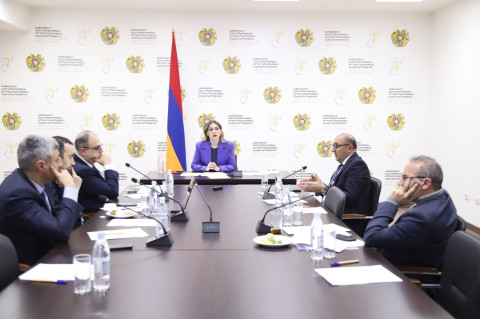 Սրբուհի Գալյանի գլխավորությամբ տեղի է ունեցել Սահմանադրական բարեփոխումների խորհրդի հերթական նիստը