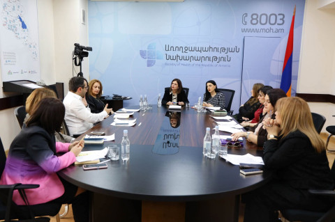 Հունվարի 1-ից առաջին շրջափուլով ապահովագրվել է 1.600.000 քաղաքացի. Ավանեսյան
