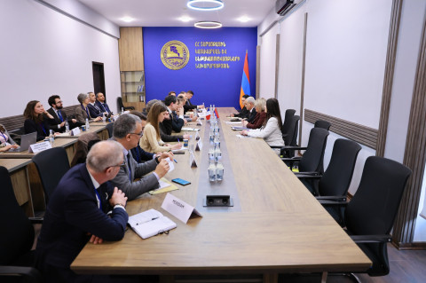ՏԿԵՆ-ում «Ֆրանսիայի ձեռնարկությունների շարժում» կազմակերպության պատվիրակությանը ներկայացվել են ՀՀ էներգետիկայի ոլորտի ծրագրերը