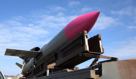 Ukrainian Flamingo missiles fired at Russia