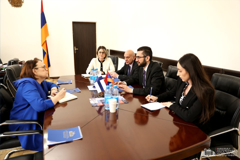 Քննարկվել են համապարփակ անվտանգության մոտեցումների ներդրման ուղղությամբ հարցեր․ ՆԳ փոխնախարարն ընդունել է Ֆինլանդիայի դեսպանին