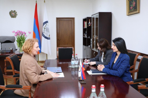 Անահիտ Մանասյանն ընդունել է Ռաուլ Վալենբերգի մարդու իրավունքների և մարդասիրական իրավունքի ինստիտուտի Հայաստանյան գրասենյակի տնօրենին