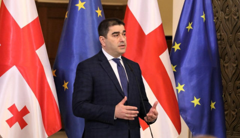 Եվրամիությունը պետք է հրաժարվի Վրաստանում իշխանափոխության փորձերից. Պապուաշվիլի